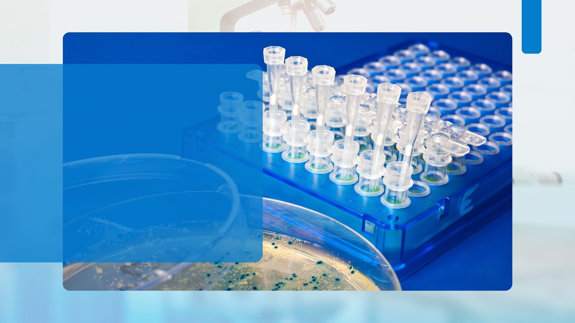 Rethinking Grade A Isolator vs Traditional Approaches: What You Need to Know